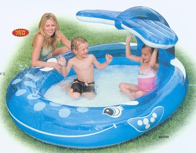 BAZEN U OBLIKU  DELFINA